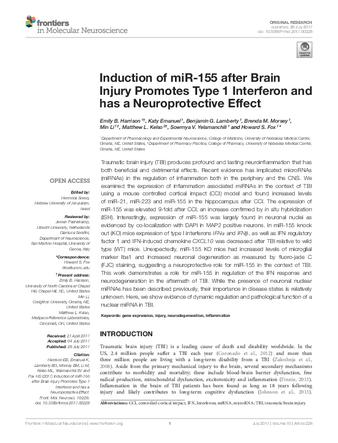 Induction of miR-155 after Brain Injury Promotes Type 1 Interferon and has a Neuroprotective Effect thumbnail