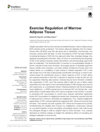 Exercise Regulation of Marrow Adipose Tissue thumbnail