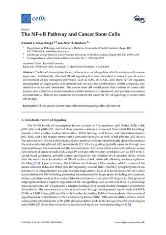The NF-κB Pathway and Cancer Stem Cells thumbnail