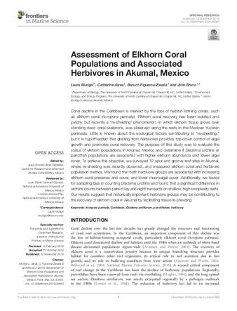 Assessment of Elkhorn Coral Populations and Associated Herbivores in Akumal, Mexico thumbnail