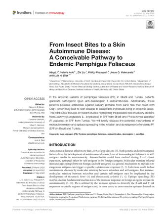From Insect Bites to a Skin Autoimmune Disease: A Conceivable Pathway to Endemic Pemphigus Foliaceus thumbnail