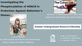 Investigating the Phosphorylation of HDAC6 in Protection Against Alzheimer's Disease  thumbnail