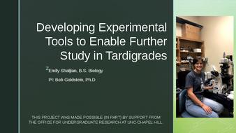 Developing Experimental Tools to Enable Further Study in Tardigrades thumbnail