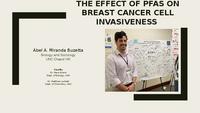 The Effect of PFAS on Breast Cancer Cell Invasiveness  thumbnail