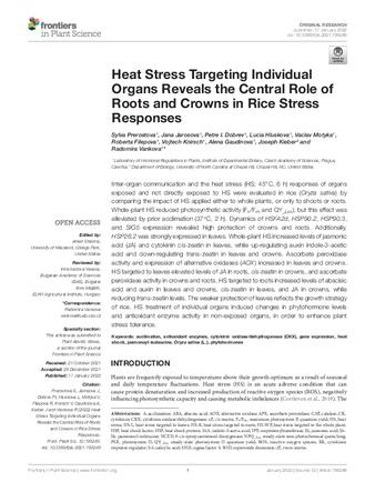 Heat Stress Targeting Individual Organs Reveals the Central Role of Roots and Crowns in Rice Stress Responses thumbnail