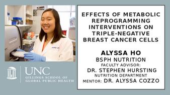 Effects of Metabolic Reprogramming Interventions on Triple-Negative Breast Cancer Cells