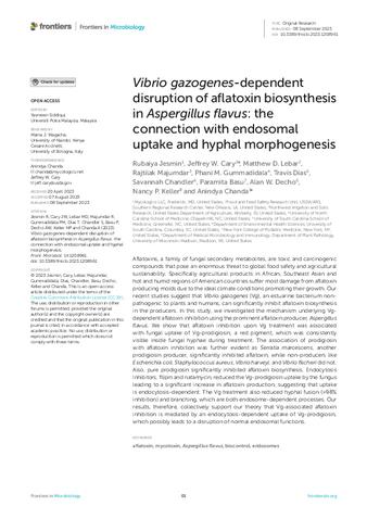 Vibrio gazogenes-dependent disruption of aflatoxin biosynthesis in Aspergillus flavus: the connection with endosomal uptake and hyphal morphogenesis thumbnail