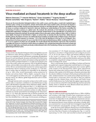 Virus-mediated archaeal hecatomb in the deep seafloor thumbnail