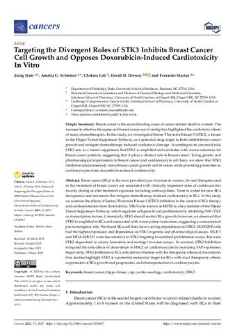 Targeting the Divergent Roles of STK3 Inhibits Breast Cancer Cell Growth and Opposes Doxorubicin-Induced Cardiotoxicity In Vitro thumbnail