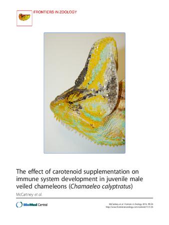 The effect of carotenoid supplementation on immune system development in juvenile male veiled chameleons (Chamaeleo calyptratus) thumbnail