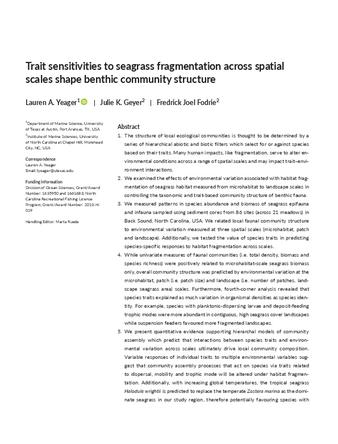 Trait sensitivities to seagrass fragmentation across spatial scales shape benthic community structure thumbnail