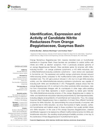 Identification, expression and activity of candidate nitrite reductases from orange beggiatoaceae, guaymas basin thumbnail