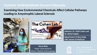 Examining How Environmental Chemicals Affect Cellular Pathways Leading to Amyotrophic Lateral Sclerosis thumbnail