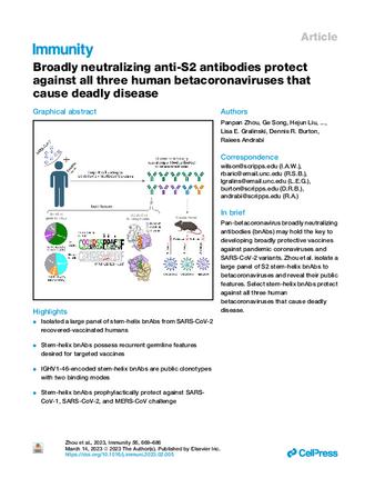 Broadly neutralizing anti-S2 antibodies protect against all three human betacoronaviruses that cause deadly disease thumbnail