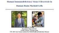 Human Immunodeficiency Virus-1 Reservoir in Human Brain Myeloid Cells thumbnail