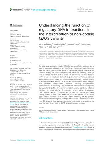Understanding the function of regulatory DNA interactions in the interpretation of non-coding GWAS variants thumbnail