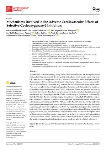 Mechanisms Involved in the Adverse Cardiovascular Effects of Selective Cyclooxygenase-2 Inhibitors thumbnail
