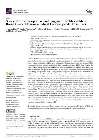 Single-Cell Transcriptional and Epigenetic Profiles of Male Breast Cancer Nominate Salient Cancer-Specific Enhancers thumbnail