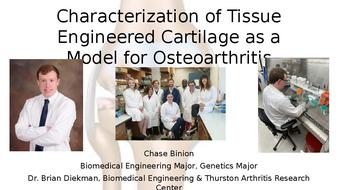Characterization of Tissue Engineered Cartilage as a Model for Osteoarthritis thumbnail