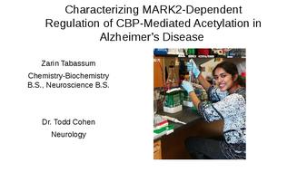 Characterizing MARK2-Dependent Regulation of CBP-Mediated Acetylation in Alzheimer’s Disease  thumbnail