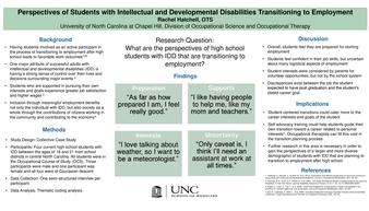 Perspectives of Students with Intellectual and Developmental Disabilities Transitioning to Employment