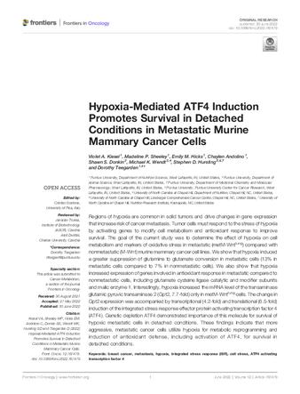 Hypoxia-Mediated ATF4 Induction Promotes Survival in Detached Conditions in Metastatic Murine Mammary Cancer Cells thumbnail