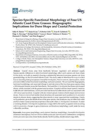Species-specific functional morphology of four US atlantic coast dune grasses: Biogeographic implications for dune shape and coastal protection thumbnail