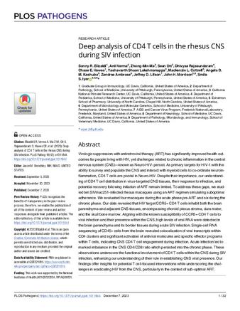 Deep analysis of CD4 T cells in the rhesus CNS during SIV infection thumbnail