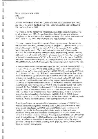 A1900 2004 Final Report and Notes