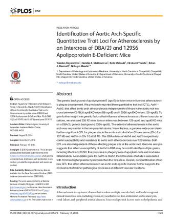 Identification of Aortic Arch-Specific Quantitative Trait Loci for Atherosclerosis by an Intercross of DBA/2J and 129S6 Apolipoprotein E-Deficient Mice thumbnail