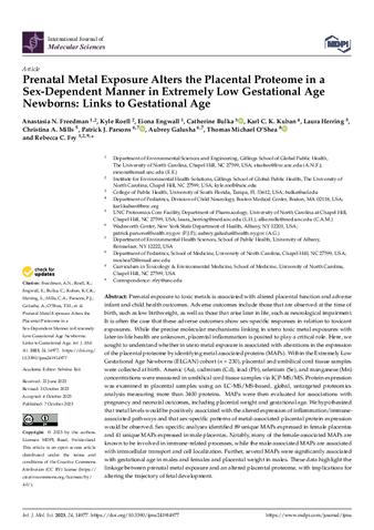 Prenatal Metal Exposure Alters the Placental Proteome in a Sex-Dependent Manner in Extremely Low Gestational Age Newborns: Links to Gestational Age thumbnail