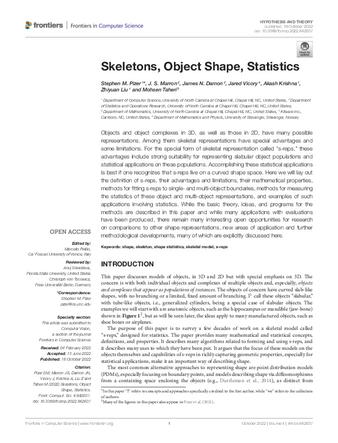 Skeletons, Object Shape, Statistics thumbnail