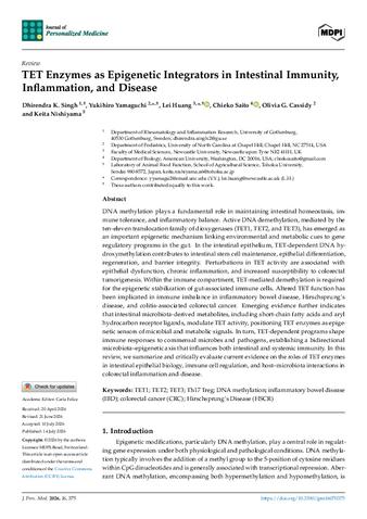 TET Enzymes as Epigenetic Integrators in Intestinal Immunity, Inflammation, and Disease thumbnail