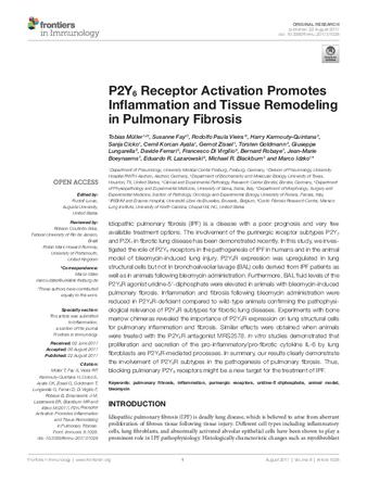 P2Y6 Receptor Activation Promotes Inflammation and Tissue Remodeling in Pulmonary Fibrosis thumbnail