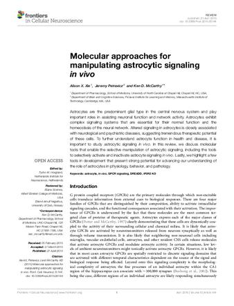 Molecular approaches for manipulating astrocytic signaling in vivo thumbnail