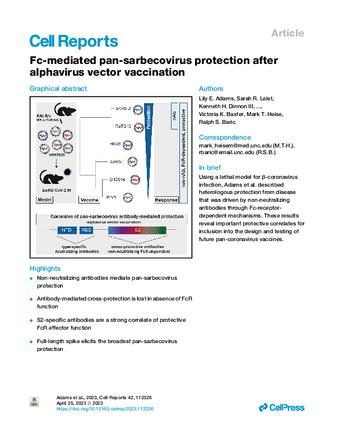 Fc-mediated pan-sarbecovirus protection after alphavirus vector vaccination thumbnail