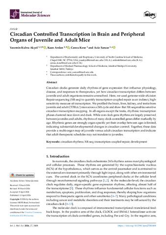Circadian Controlled Transcription in Brain and Peripheral Organs of Juvenile and Adult Mice thumbnail