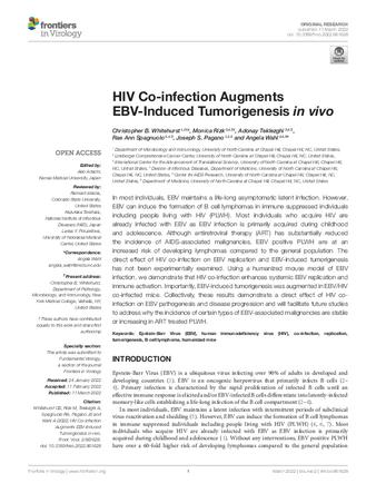 HIV Co-infection Augments EBV-Induced Tumorigenesis in vivo thumbnail
