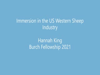 Immersion in the US Western Sheep Industry thumbnail