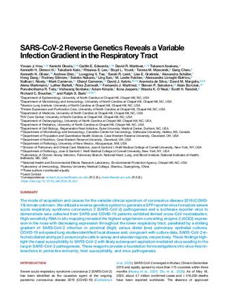 SARS-CoV-2 Reverse Genetics Reveals a Variable Infection Gradient in the Respiratory Tract thumbnail