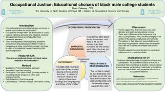 Occupational Justice: Educational choices of black male college students thumbnail