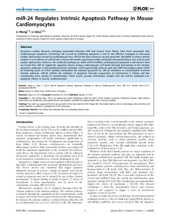 miR-24 Regulates Intrinsic Apoptosis Pathway in Mouse Cardiomyocytes thumbnail