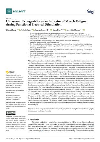 Ultrasound Echogenicity as an Indicator of Muscle Fatigue during Functional Electrical Stimulation