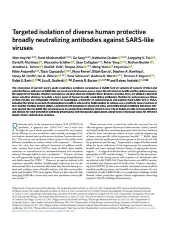 Targeted isolation of diverse human protective broadly neutralizing antibodies against SARS-like viruses thumbnail