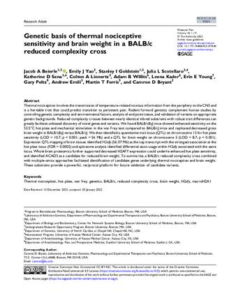Genetic basis of thermal nociceptive sensitivity and brain weight in a BALB/c reduced complexity cross thumbnail