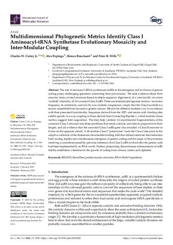 Multidimensional Phylogenetic Metrics Identify Class I Aminoacyl-tRNA Synthetase Evolutionary Mosaicity and Inter-Modular Coupling thumbnail
