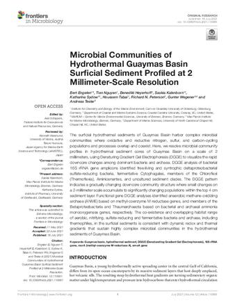 Microbial Communities of Hydrothermal Guaymas Basin Surficial Sediment Profiled at 2 Millimeter-Scale Resolution thumbnail