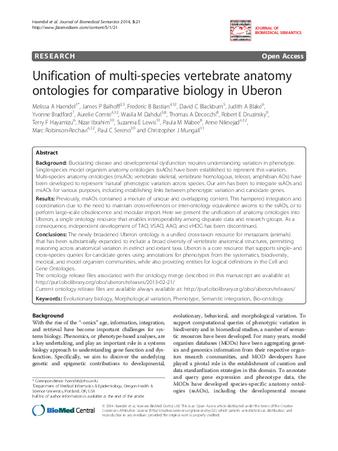Unification of multi-species vertebrate anatomy ontologies for comparative biology in Uberon thumbnail