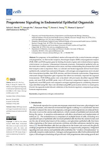 Progesterone Signaling in Endometrial Epithelial Organoids thumbnail