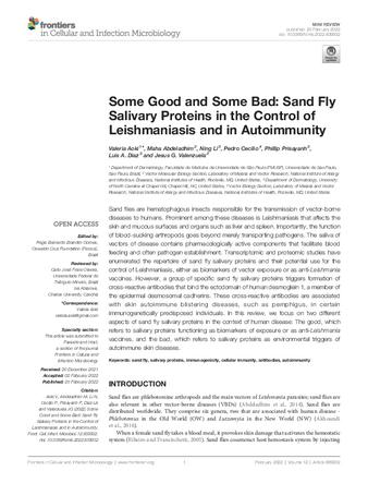 Some Good and Some Bad: Sand Fly Salivary Proteins in the Control of Leishmaniasis and in Autoimmunity thumbnail